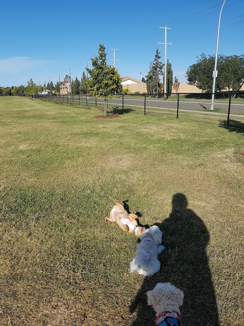 Grand Trunk Park dog park in Edmonton, Alberta