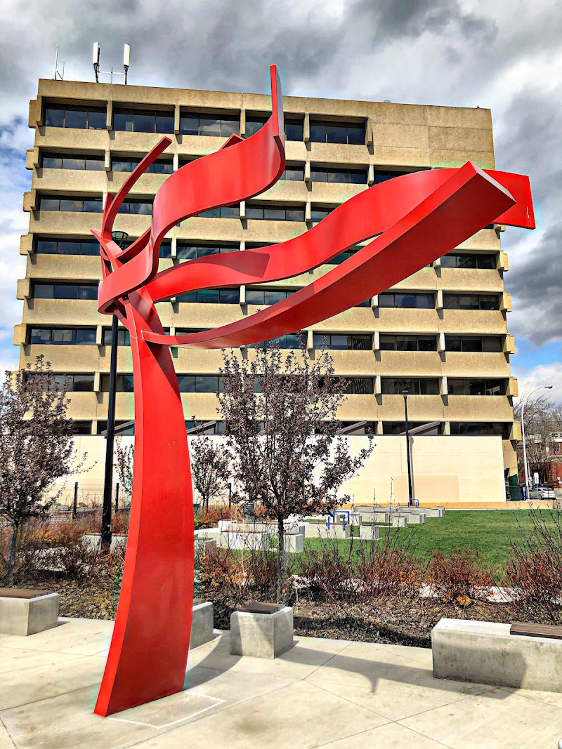 Alex Decoteau Park dog park in Edmonton, Alberta