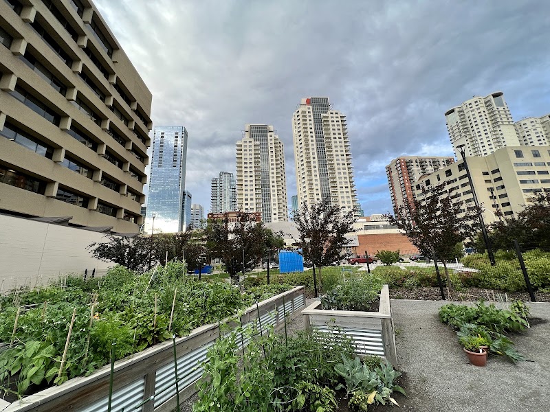 Alex Decoteau Park dog park in Edmonton, Alberta