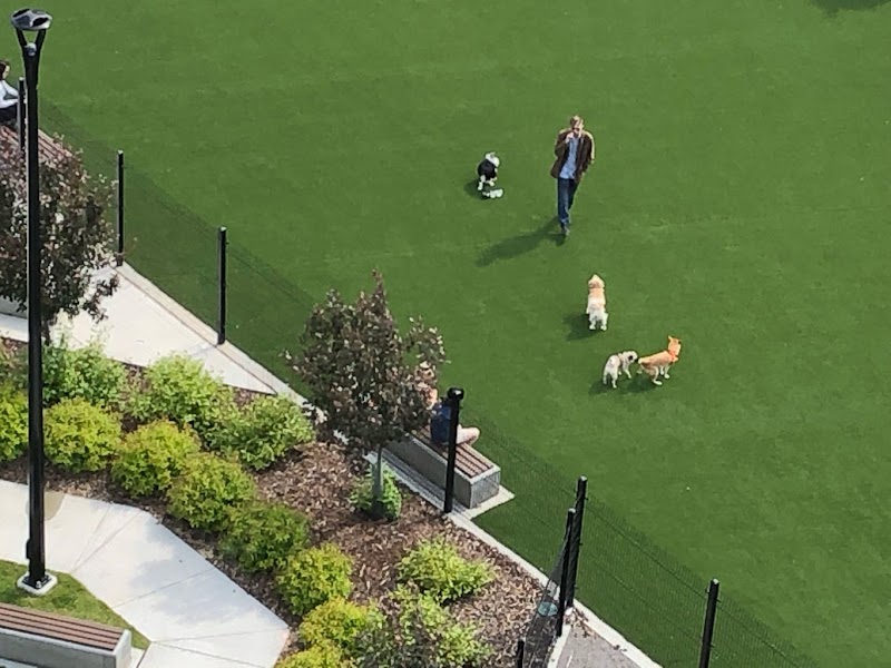 Alex Decoteau Park dog park in Edmonton, Alberta