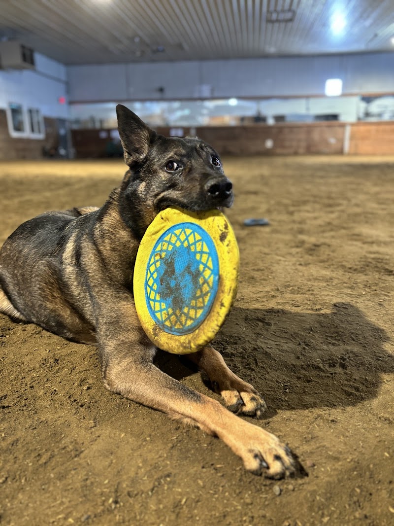 Bark Barn- Edmonton dog park in Leduc, Alberta