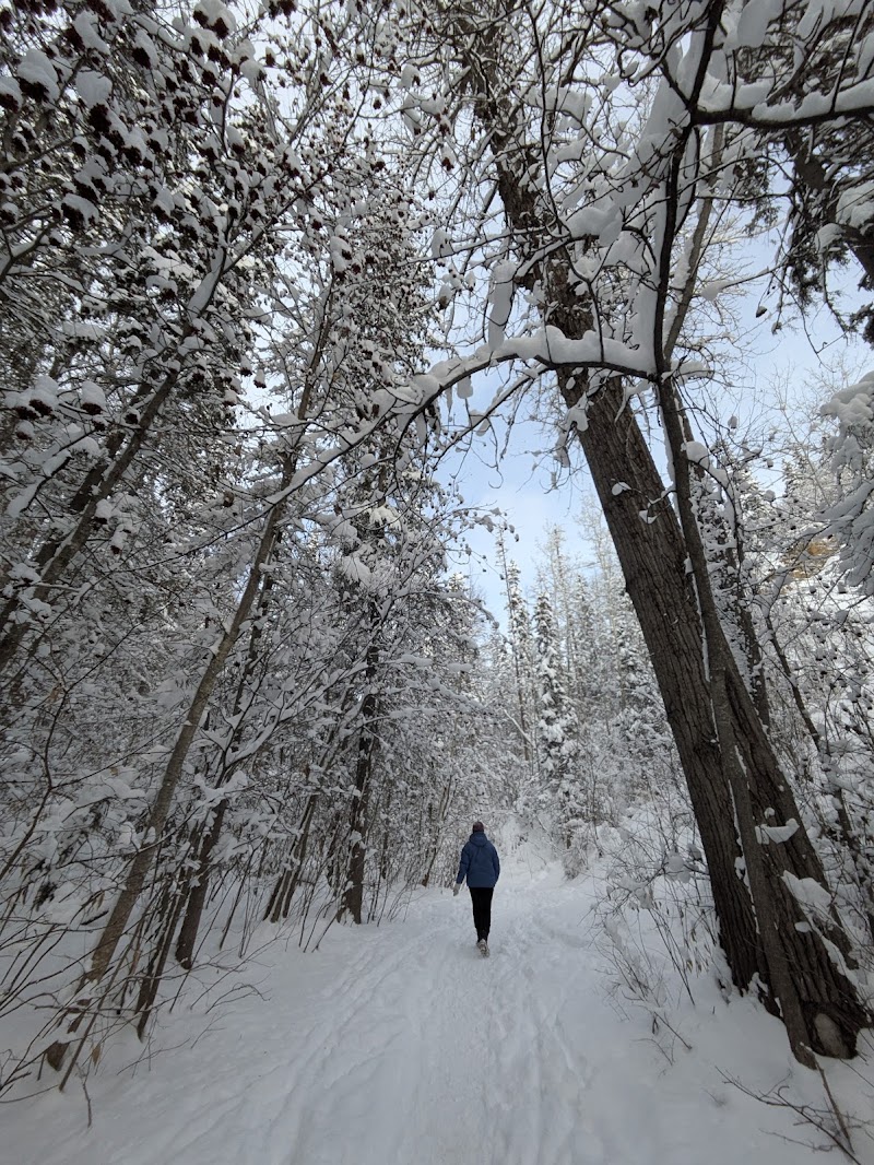 Patricia Ravine Off-Leash Area dog park in Edmonton, Alberta