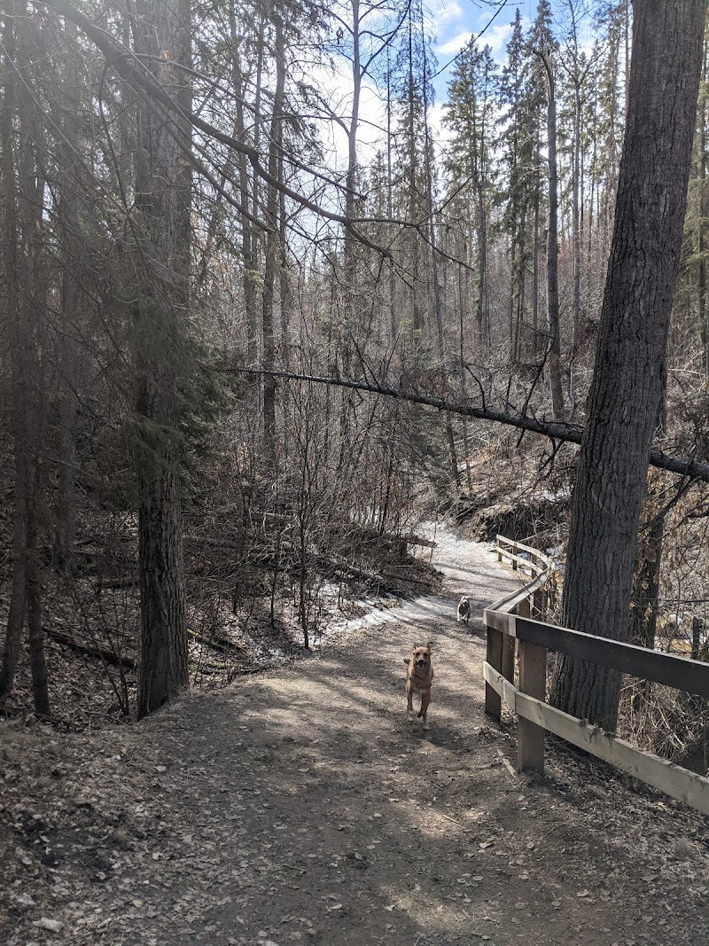 Patricia Ravine Off-Leash Area dog park in Edmonton, Alberta