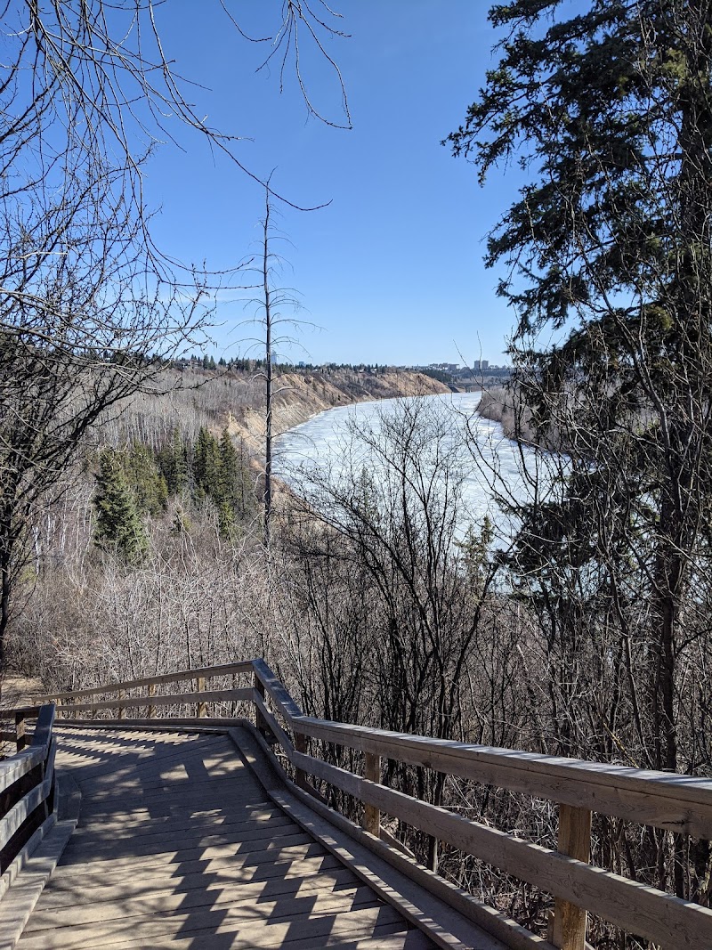 Patricia Ravine Off-Leash Area dog park in Edmonton, Alberta