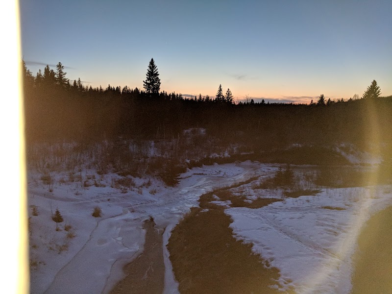 Big Bear Park dog park in Edmonton, Alberta