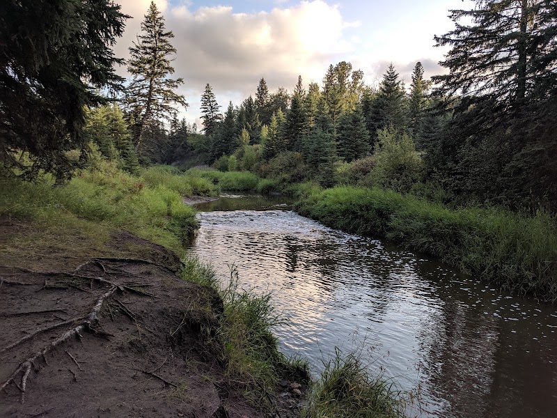 Big Bear Park dog park in Edmonton, Alberta