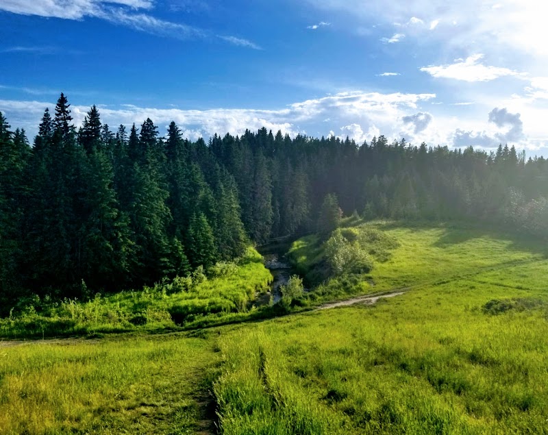 Big Bear Park dog park in Edmonton, Alberta