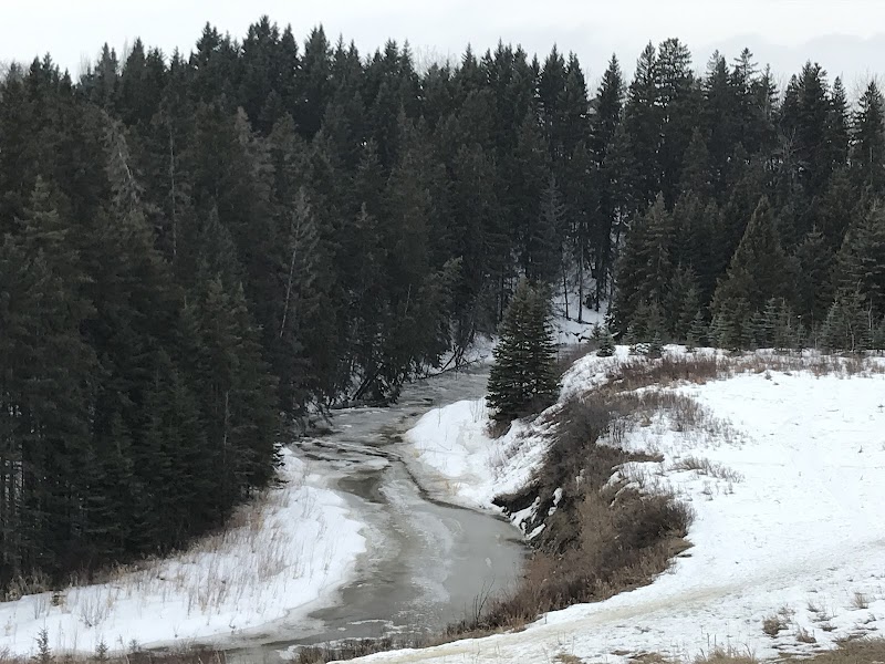 Big Bear Park dog park in Edmonton, Alberta