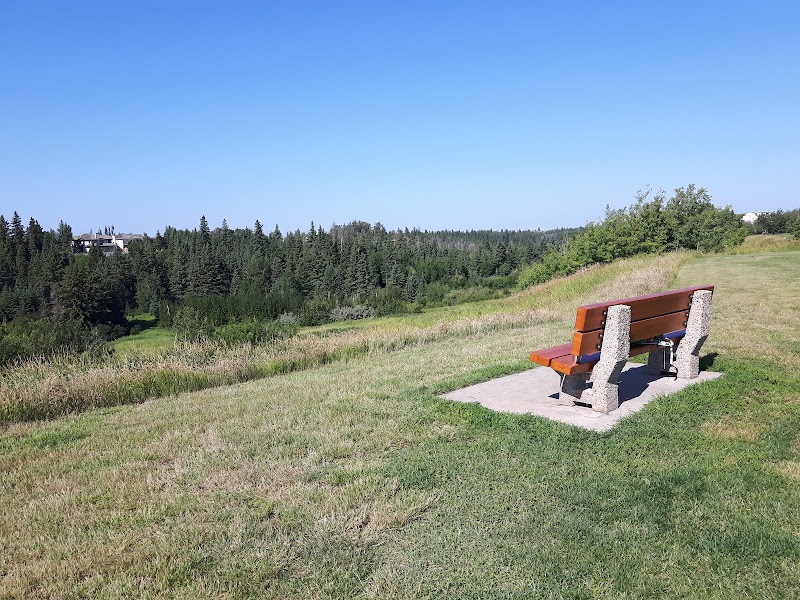 Big Bear Park dog park in Edmonton, Alberta