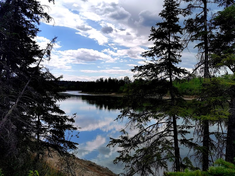 Hawrelak Trail Off Leash Site dog park in Edmonton, Alberta
