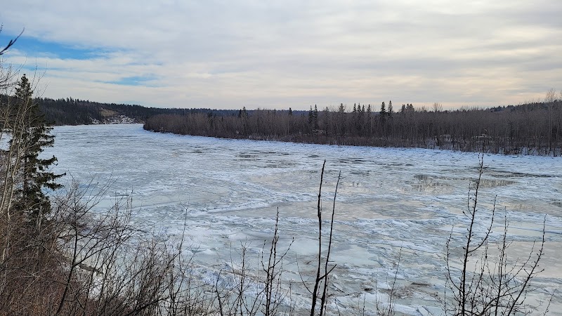 Hawrelak Trail Off Leash Site dog park in Edmonton, Alberta