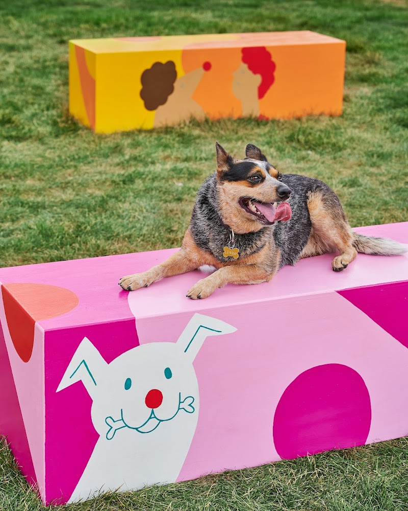 SouthBARK on Whyte dog park in Edmonton, Alberta