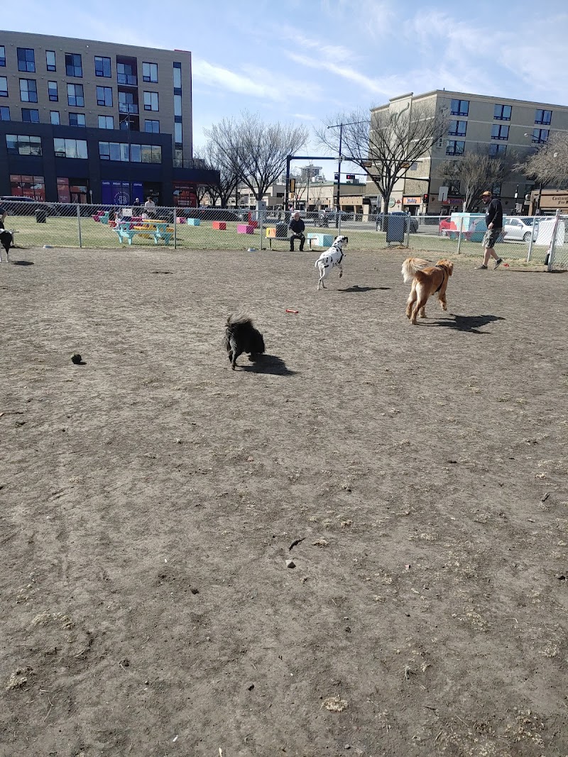 SouthBARK on Whyte dog park in Edmonton, Alberta