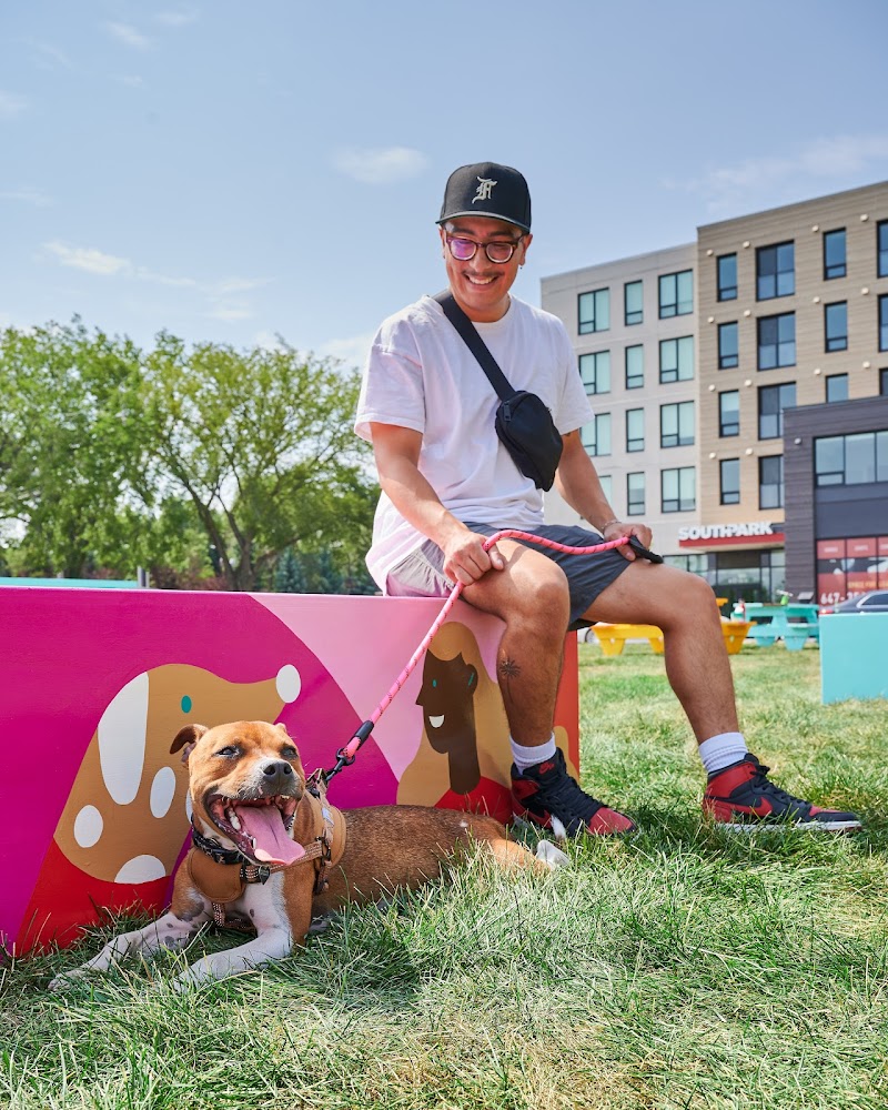 SouthBARK on Whyte dog park in Edmonton, Alberta