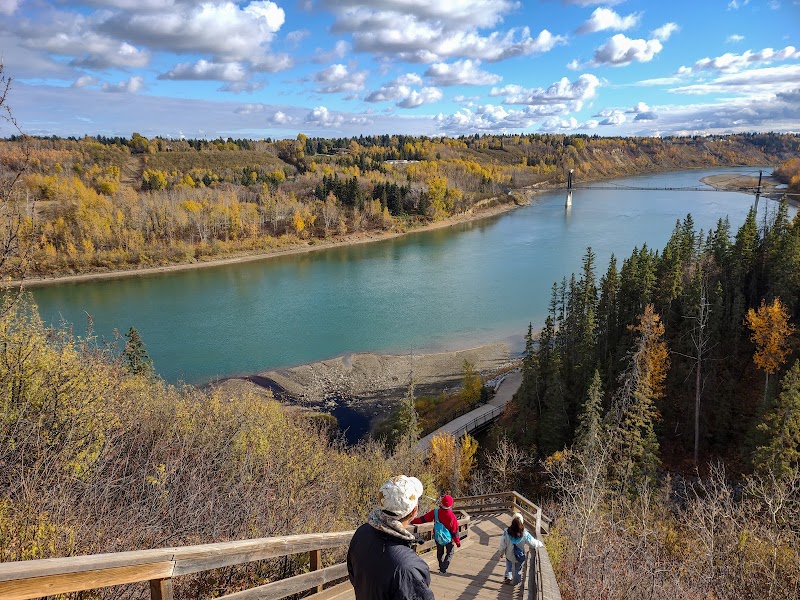 Rio Park dog park in Edmonton, Alberta
