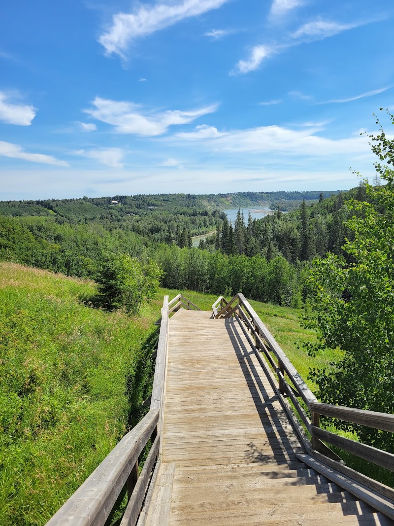 Rio Park dog park in Edmonton, Alberta