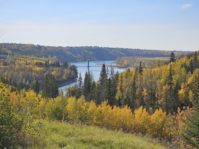 Rio Park dog park in Edmonton, Alberta
