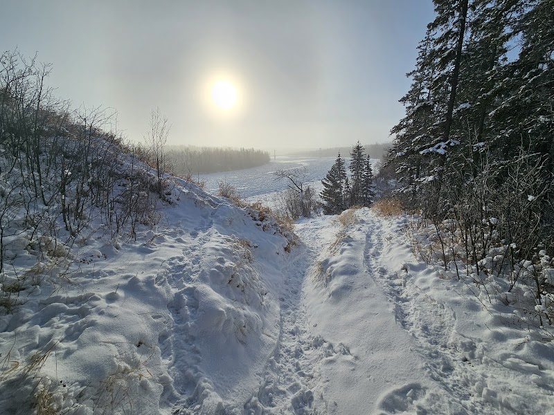Rio Park dog park in Edmonton, Alberta