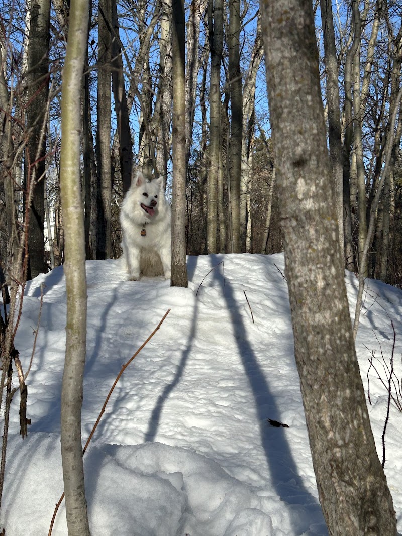 Laneway Getaway Inc. Private Dog Parks dog park in Spruce Grove, Alberta