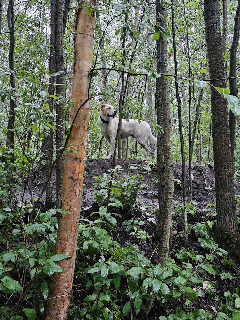 Laneway Getaway Inc. Private Dog Parks dog park in Spruce Grove, Alberta