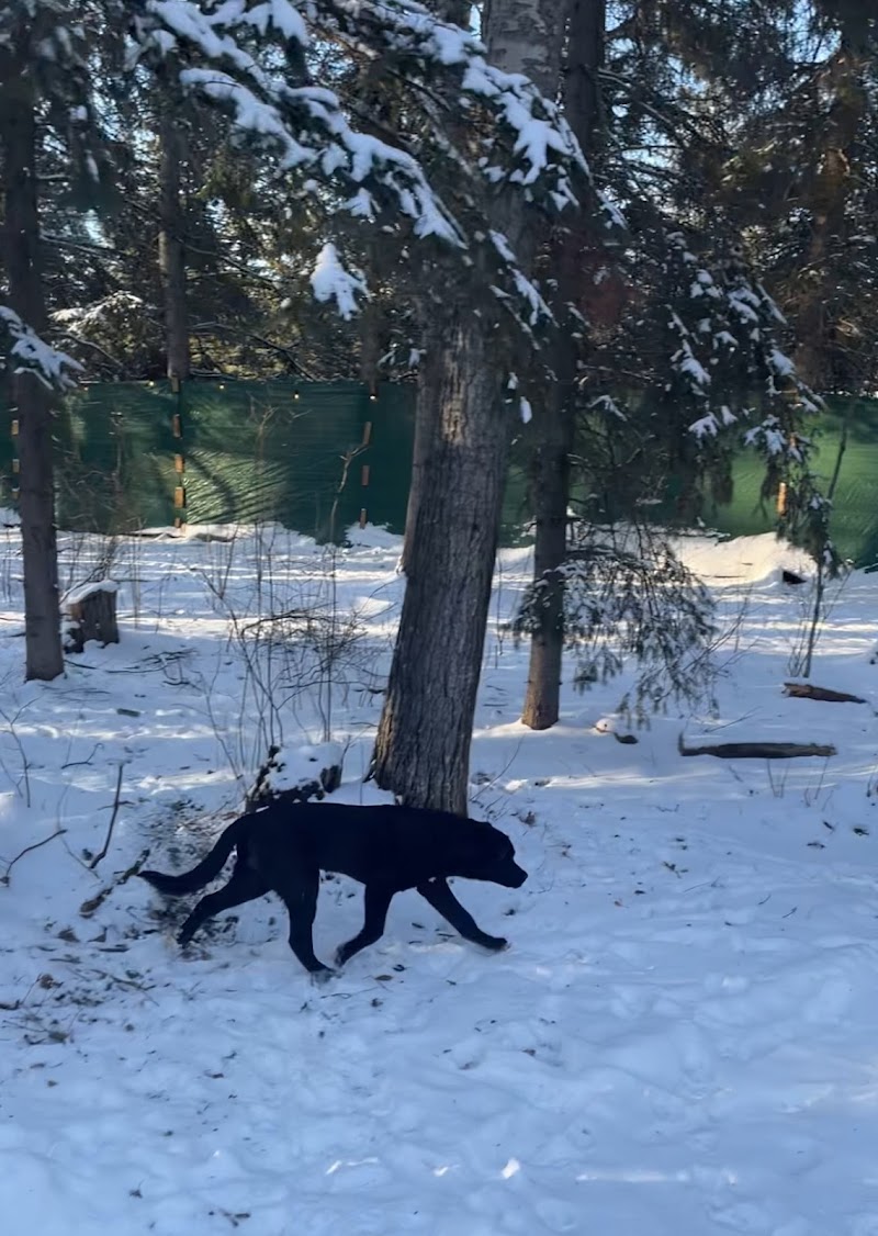 Laneway Getaway Inc. Private Dog Parks dog park in Spruce Grove, Alberta
