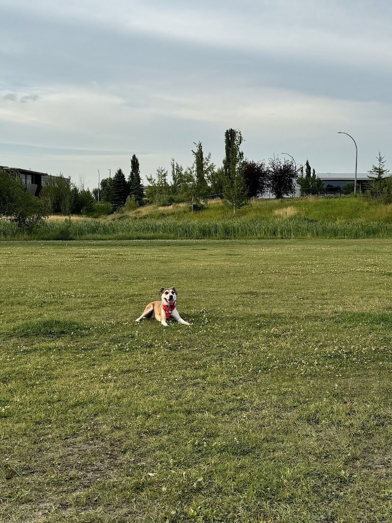 Dodger Dog Park dog park in St. Albert, Alberta