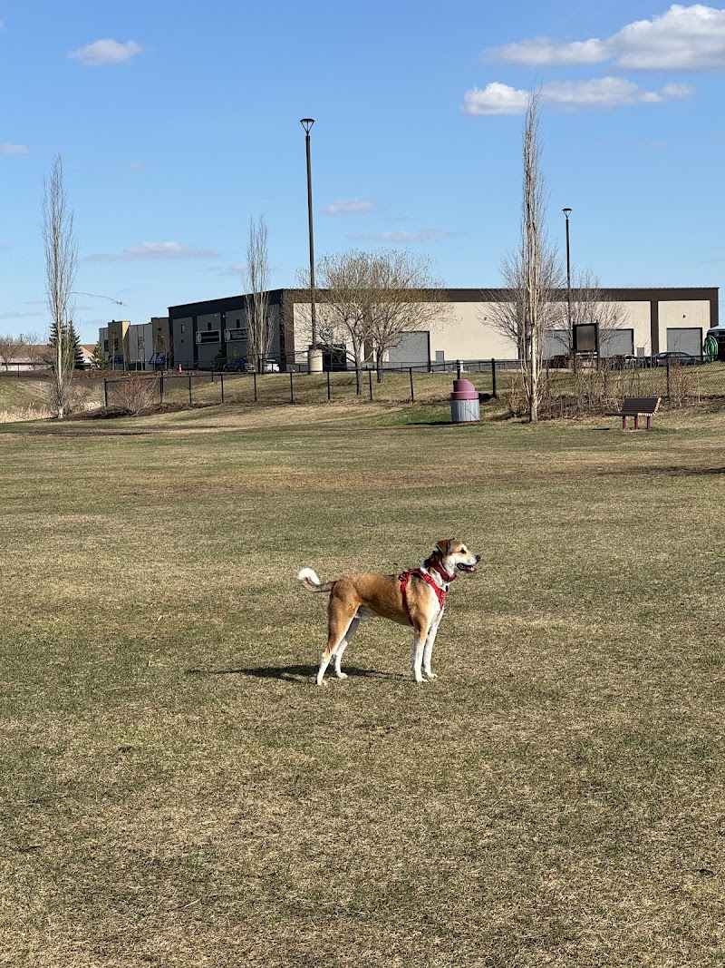 Dodger Dog Park dog park in St. Albert, Alberta