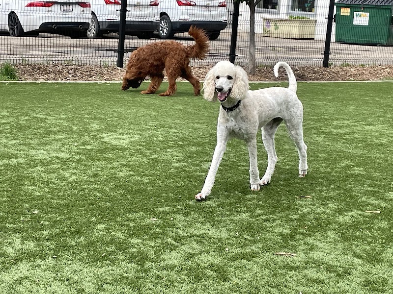 Dodger Dog Park dog park in St. Albert, Alberta