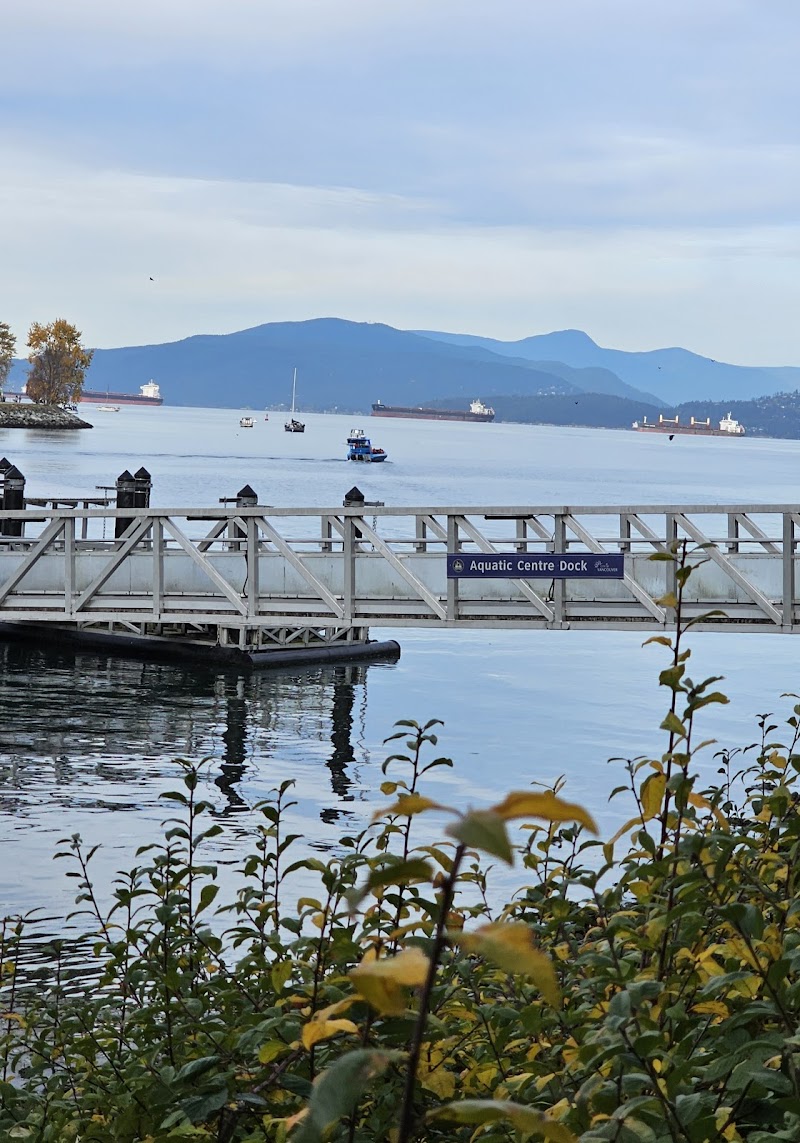 Sunset Beach Dog Beach dog park in Vancouver, British Columbia