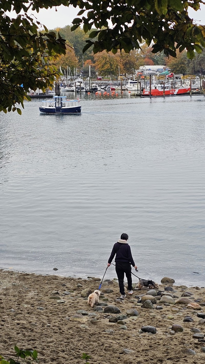 Sunset Beach Dog Beach dog park in Vancouver, British Columbia