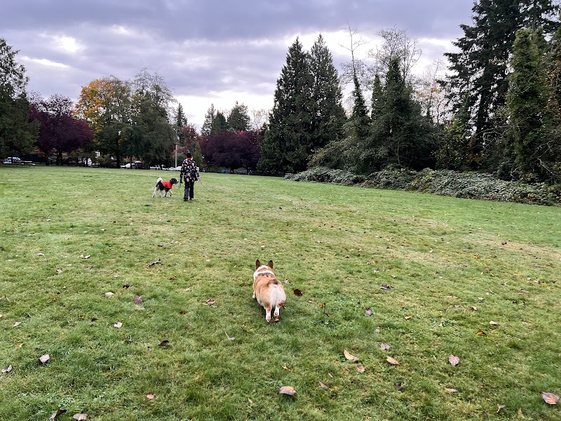 UEL Children’s Park dog park in Vancouver, British Columbia