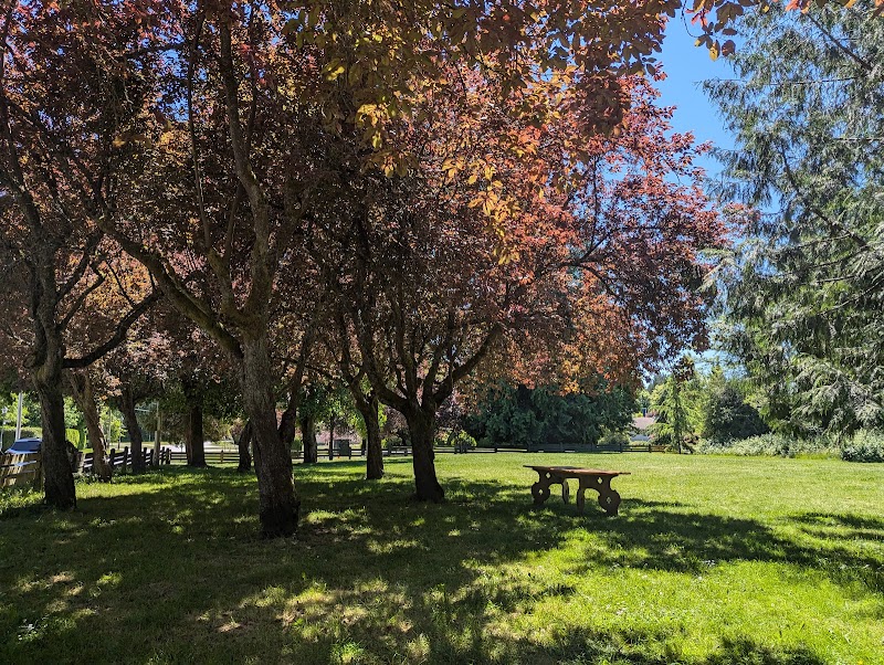 UEL Children’s Park dog park in Vancouver, British Columbia
