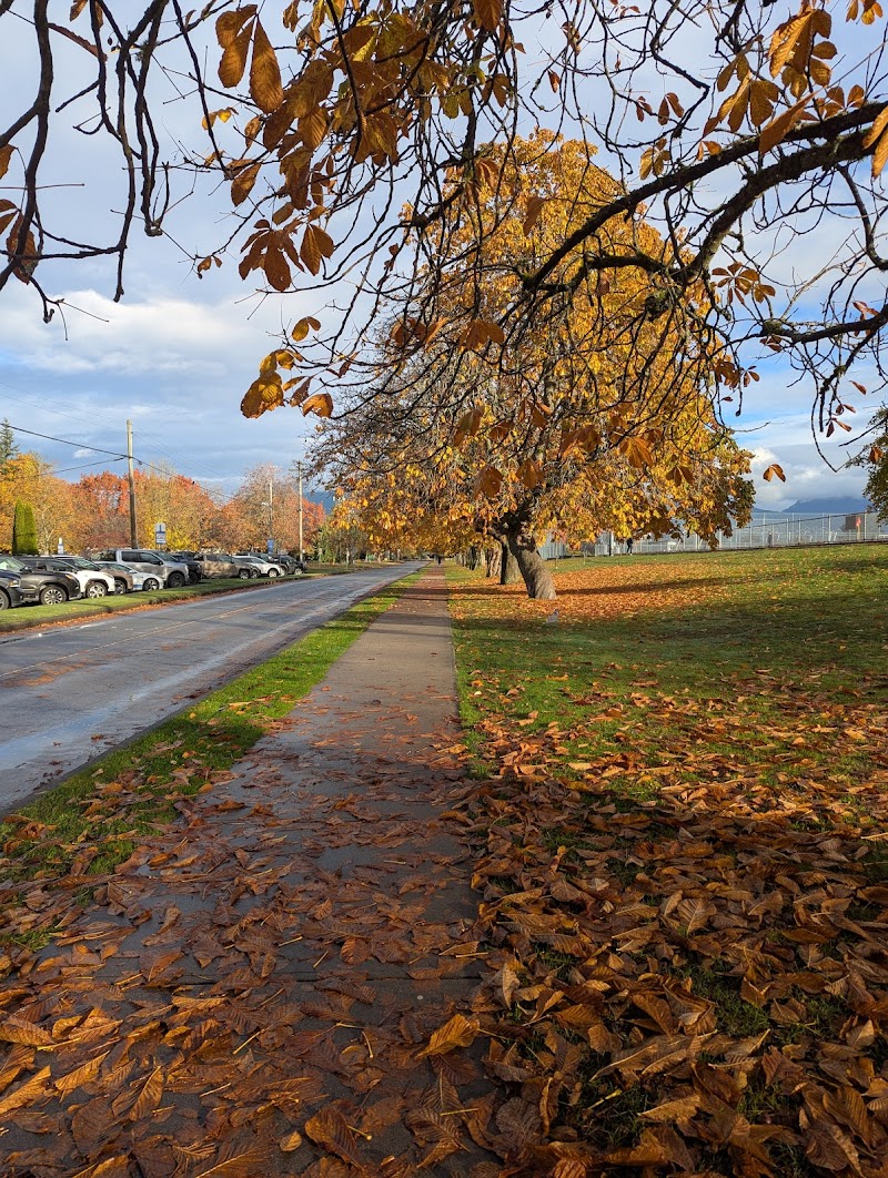 Locarno Off-Leash Dog Area dog park in Vancouver, British Columbia