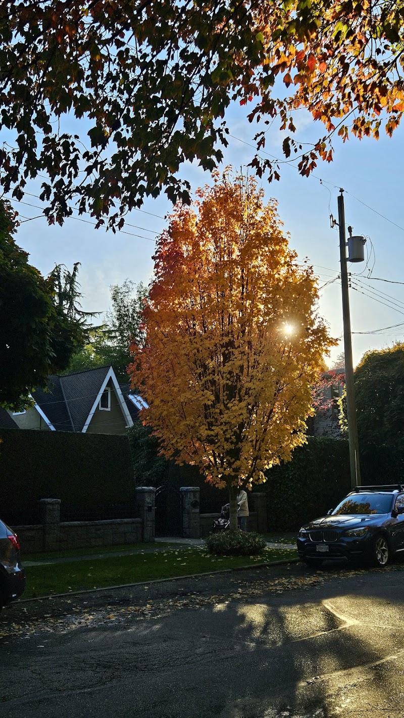 Locarno Off-Leash Dog Area dog park in Vancouver, British Columbia
