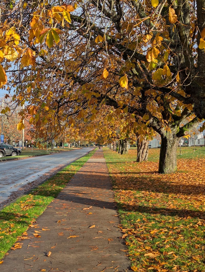 Locarno Off-Leash Dog Area dog park in Vancouver, British Columbia