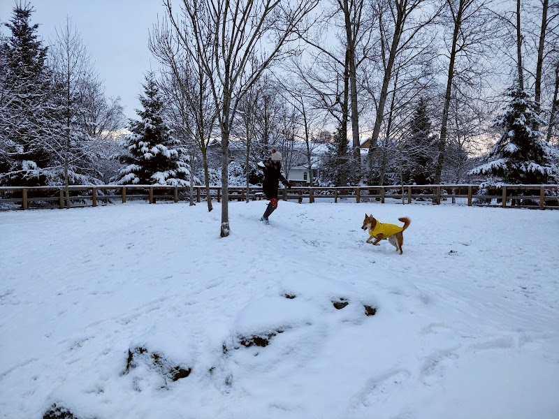 Off Leash Dog Park dog park in Richmond, British Columbia