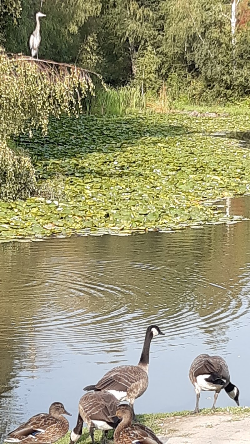 Off Leash Dog Park dog park in Richmond, British Columbia