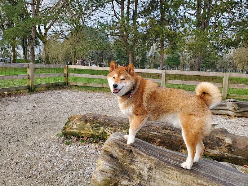 South Arm Dog Off Leash Area dog park in Richmond, British Columbia