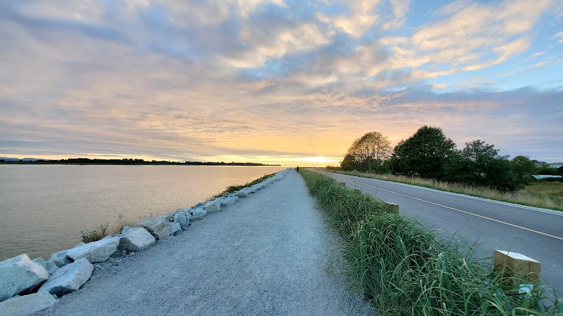 No. 3 Road Bark Park dog park in Richmond, British Columbia