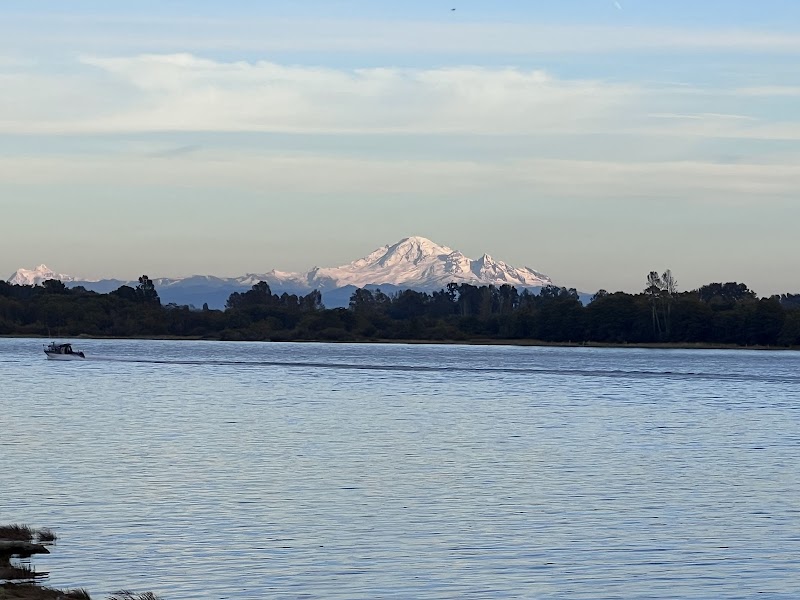 No. 3 Road Bark Park dog park in Richmond, British Columbia