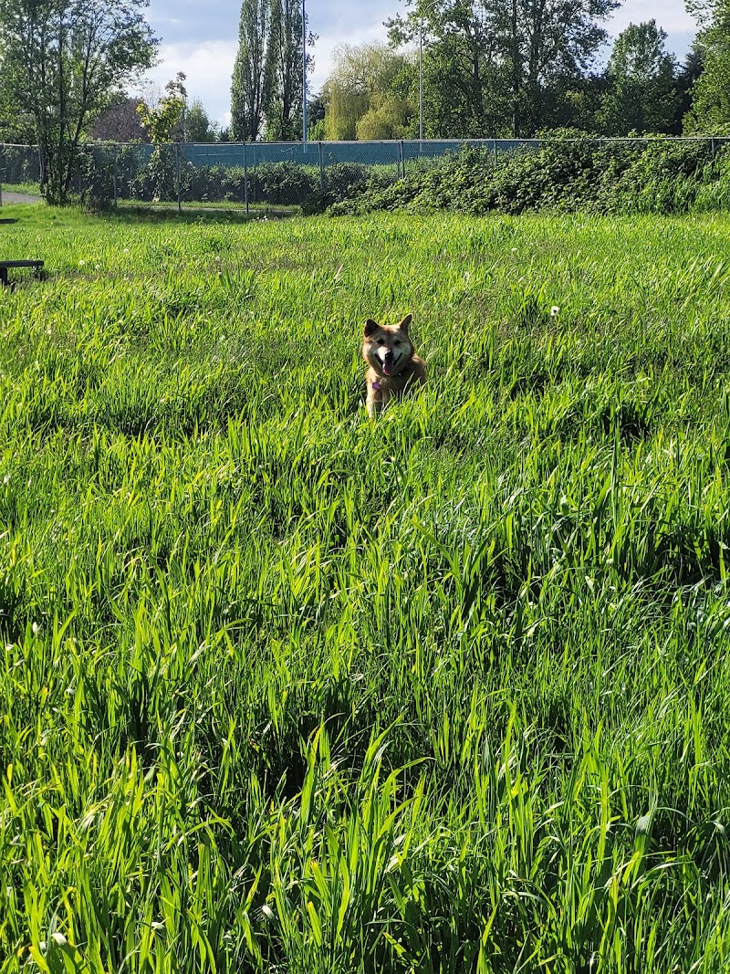 Hamilton Highway Off-Leash Dog Park dog park in Richmond, British Columbia