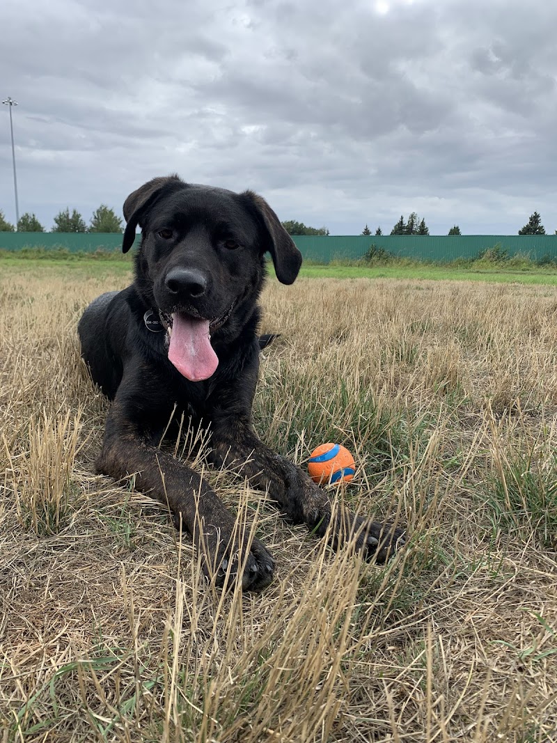 Hamilton Highway Off-Leash Dog Park dog park in Richmond, British Columbia
