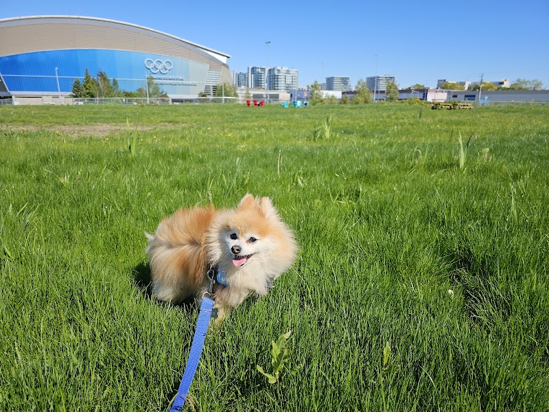 Temporary Off-Leash Dog Park dog park in Richmond, British Columbia