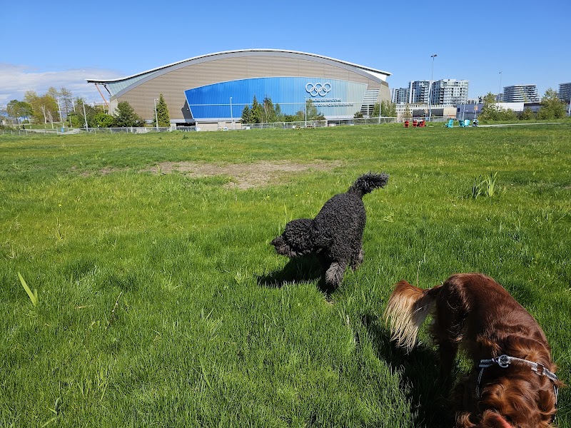 Temporary Off-Leash Dog Park dog park in Richmond, British Columbia