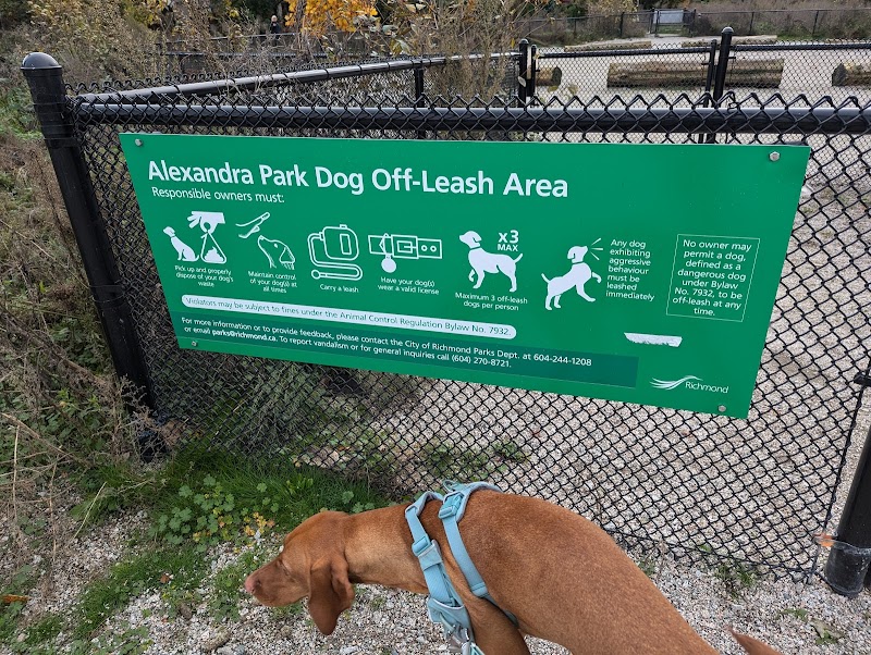 Alexandra Neighbourhood Park Dog Off-leash Area dog park in Richmond, British Columbia