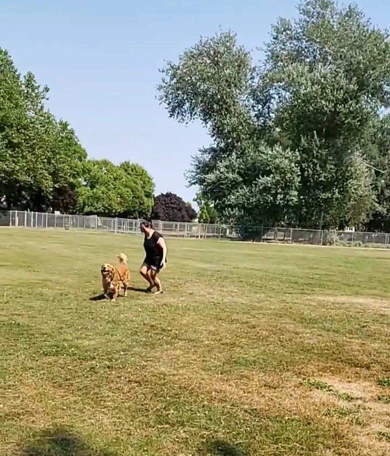 Steveston Dog Off Leash Area dog park in Richmond, British Columbia