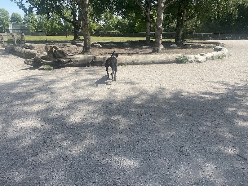 Steveston Dog Off Leash Area dog park in Richmond, British Columbia