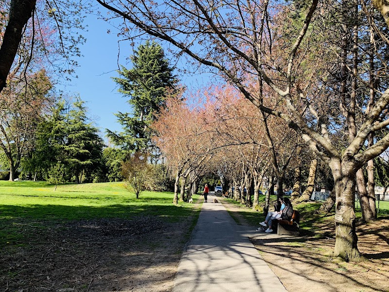 Steveston Dog Off Leash Area dog park in Richmond, British Columbia