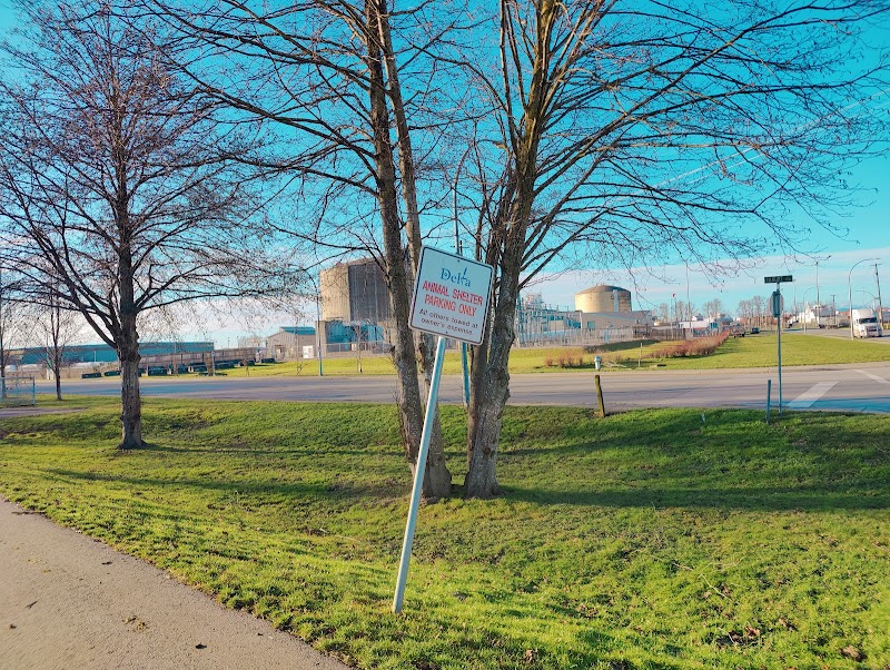 Dog agility yard and large off leash area dog park in Delta, British Columbia