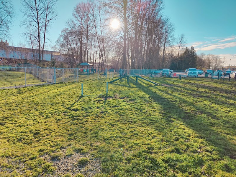 Dog agility yard and large off leash area dog park in Delta, British Columbia
